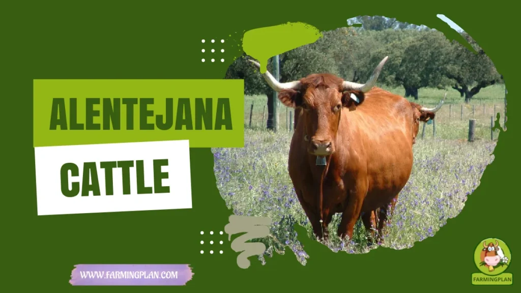 alentejana cattle