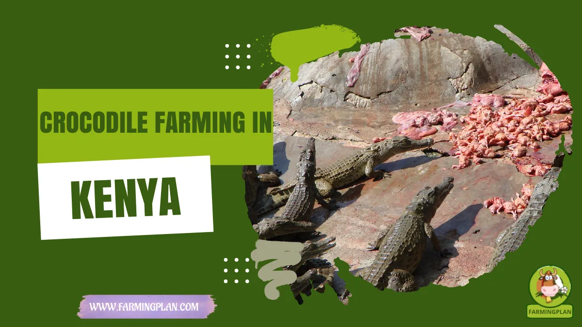 crocodile farming in kenya
