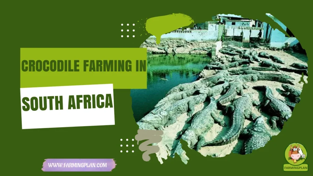 crocodile farming in south africa