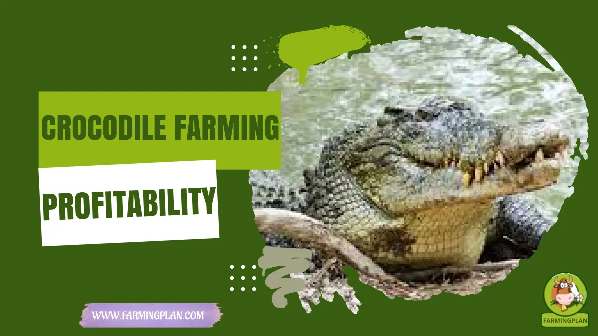 crocodile farming profitability