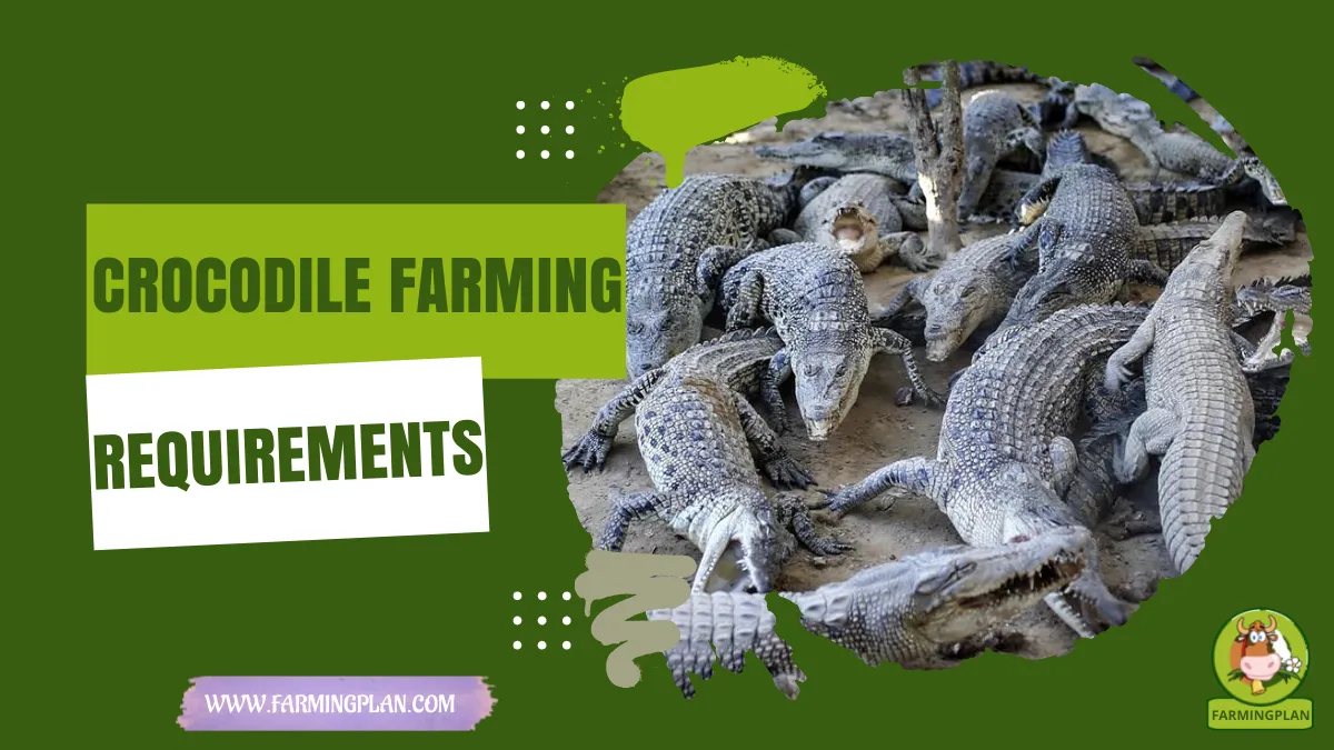 crocodile farming requirements
