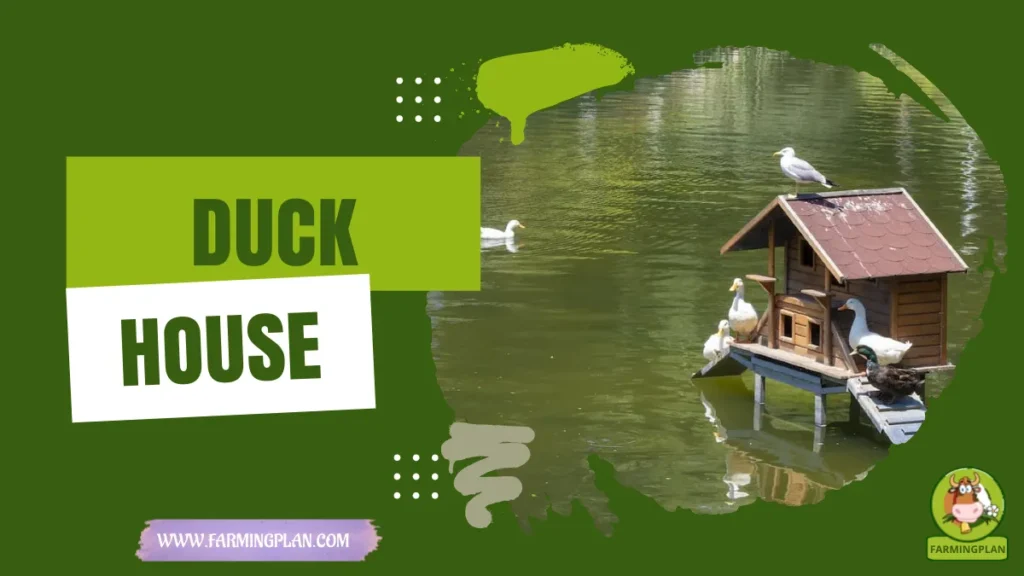 duck house