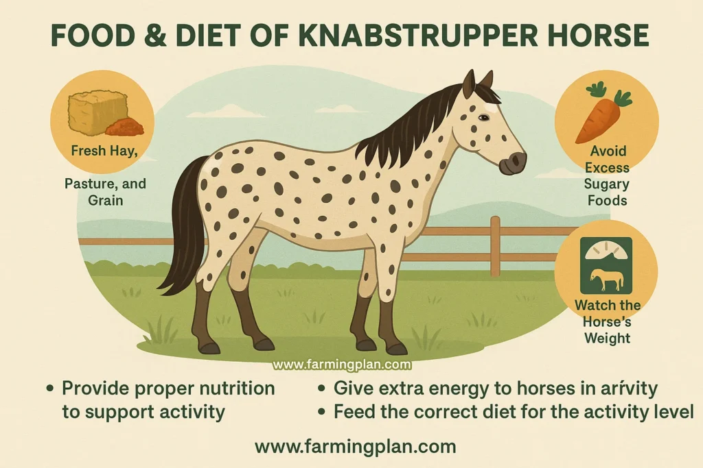 food & diet of knabstrupper horse