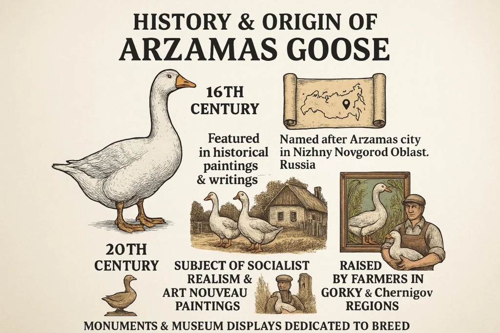 history & origin of arzamas goose