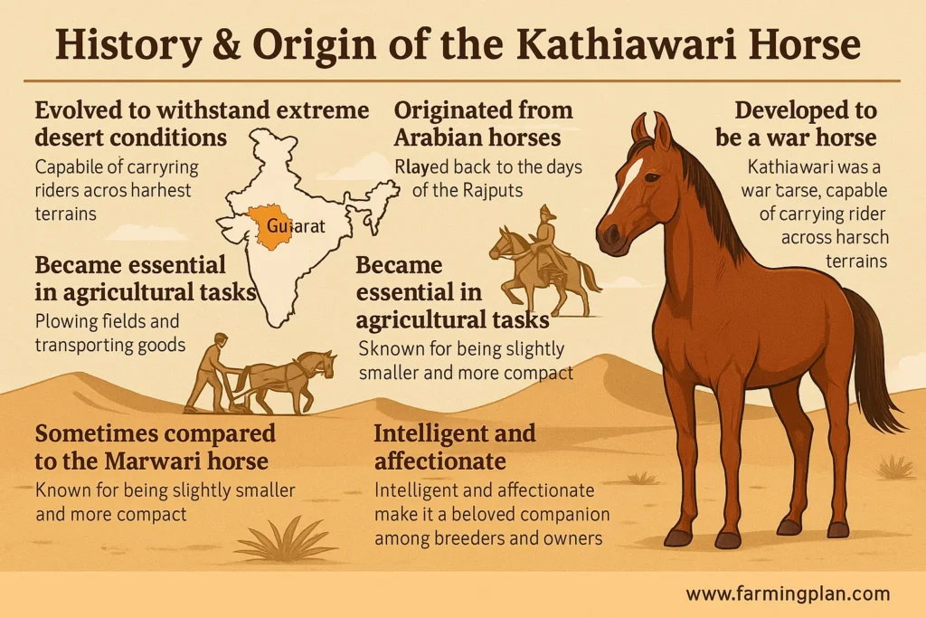 history & origin of the kathiawari horse