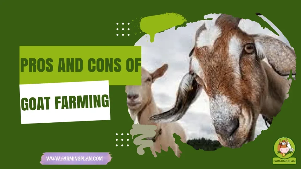 pros and cons of goat farming