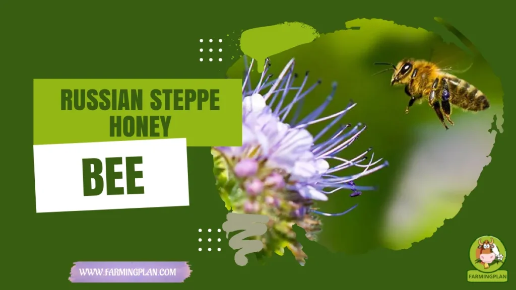 russian steppe honey bee