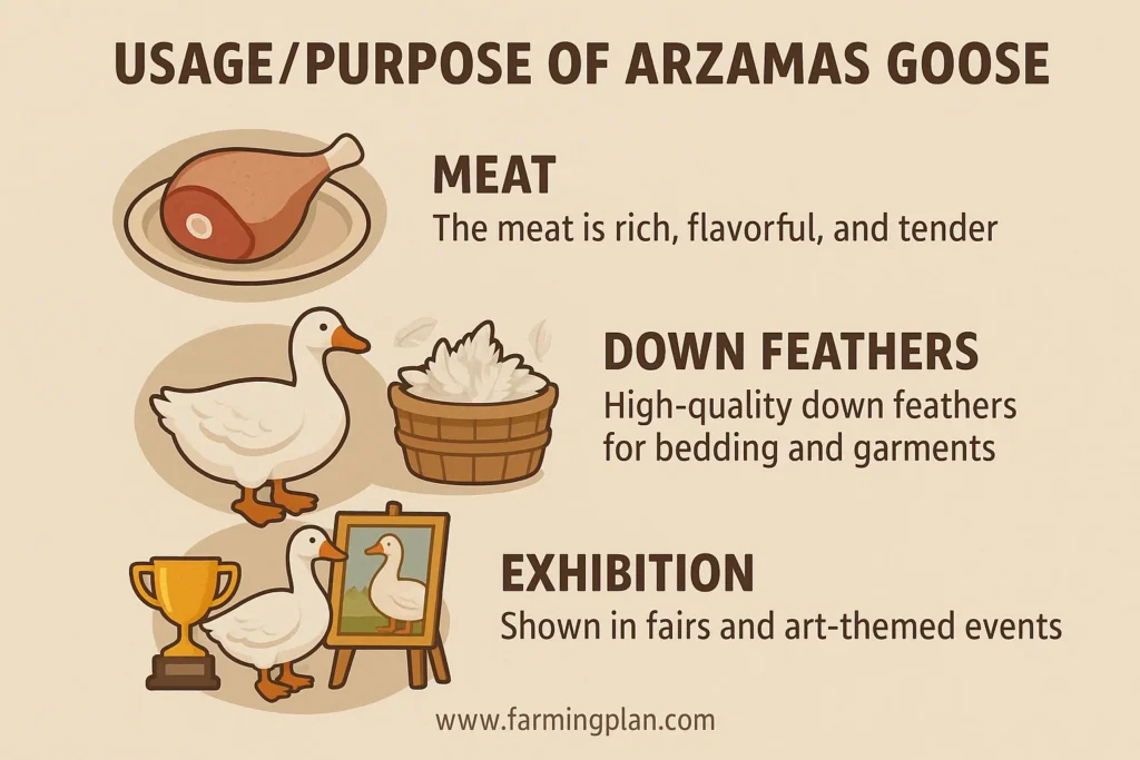 usage purpose of arzamas goose